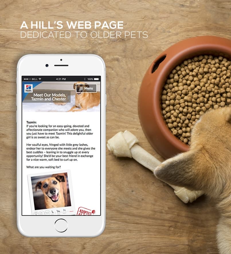 Hill's Senior Pets