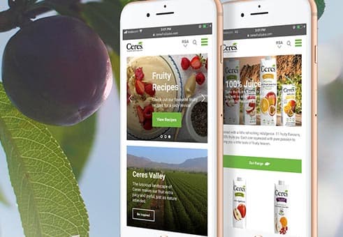 Ceres SA Website Challenge