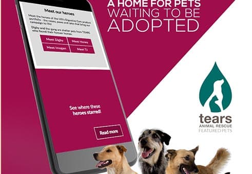 Hill's Hero Pets Challenge