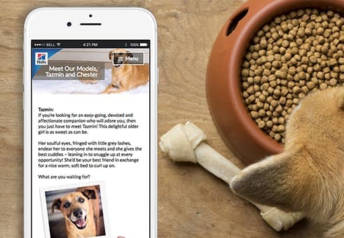 Hill's Senior Pets Challenge